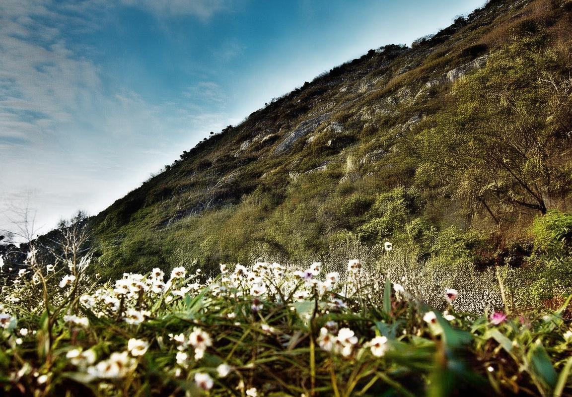 东部杯赛前瞻：传统强队阵容深度占优，黑马之旅与战术风格碰撞成看点